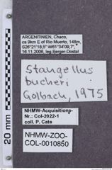 Etikette zu Stangellus bucheri (NHMW-ZOO-COL-0010850)